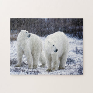 Puzzle Amour de l'ours polaire