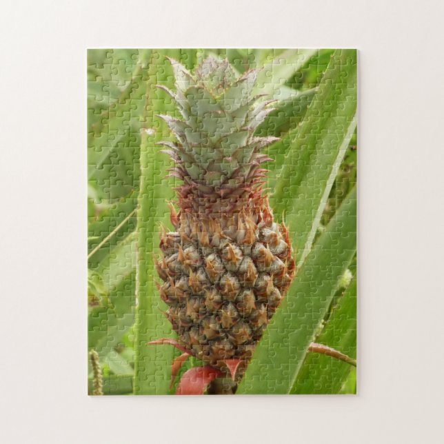 Puzzle Ananas sauvage Fruit tropical dans la nature (Vertical)