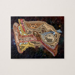 PUZZLE ANATOMIE ARTISTIQUE D'OREILLE