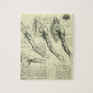 Puzzle Anatomie du bras et de l'épaule de Léonard de Vinc