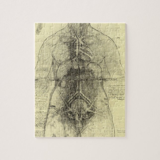 Puzzle Anatomie humaine, Torse féminine par Leonardo da V (Vertical)