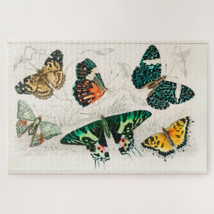 Puzzle Ancien Papillon vintage