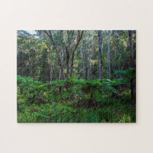 Puzzle Ancienne forêt tropicale verte Gondwana, 252 pièce