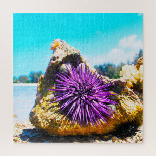Puzzle Anémones de mer