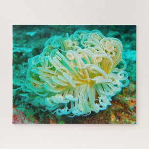 Puzzle Anémones de mer