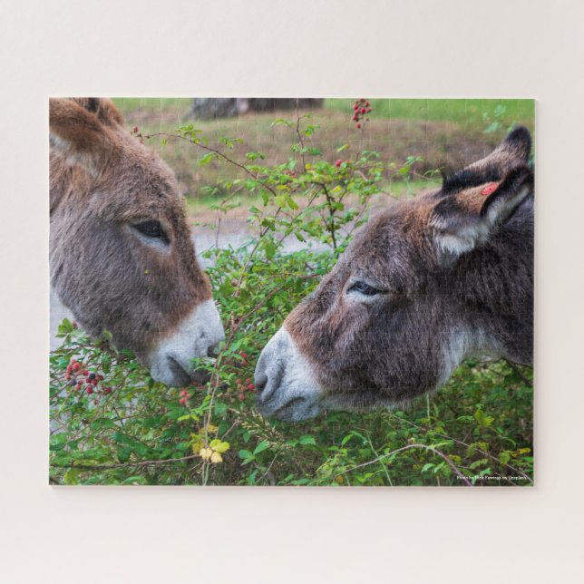 Puzzle ânes, 520pcs, (Horizontal)