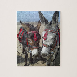 Puzzle ânes de plage