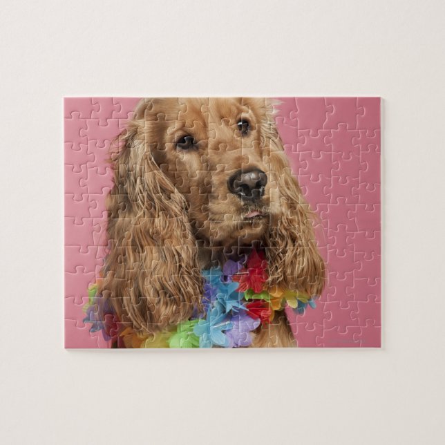 Puzzle Anglais Cocker Spaniel (10 mois) (Horizontal)