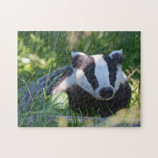 Puzzle anglais de blaireau (Horizontal)