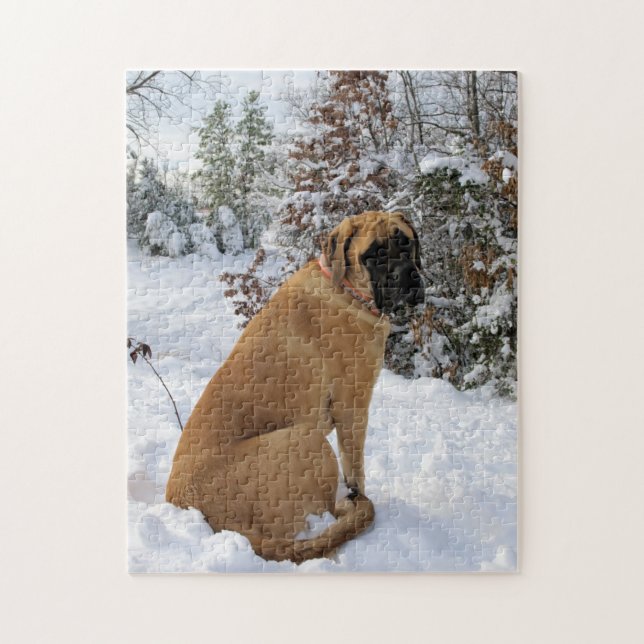 Puzzle anglais de photo de "pose de neige" de (Vertical)