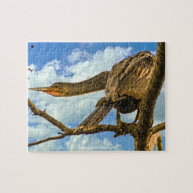 Puzzle Anhinga Oiseau-serpent Floride (Horizontal)