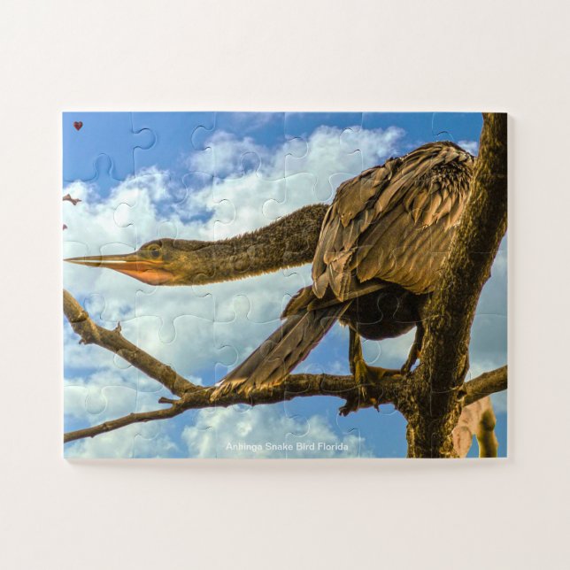 Puzzle Anhinga Snake Bird Floride (Horizontal)