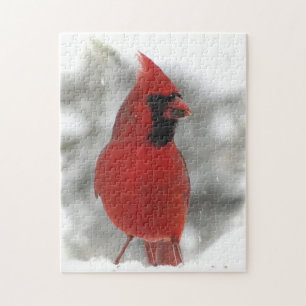 Puzzle animal cardinal rouge