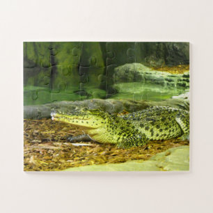 Puzzle animal de crocodile cubain