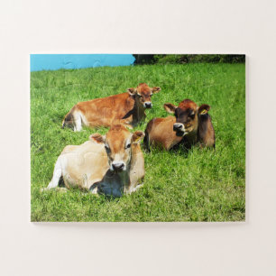 Puzzle Animal de ferme de vaches de Jersey