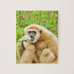 Puzzle Animal drôle de singe