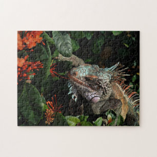 Puzzle Animal Iguana Exotique Reptile Pet Lizard USVI