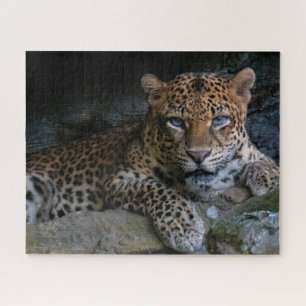 Puzzle Animal Jaguar sauvage