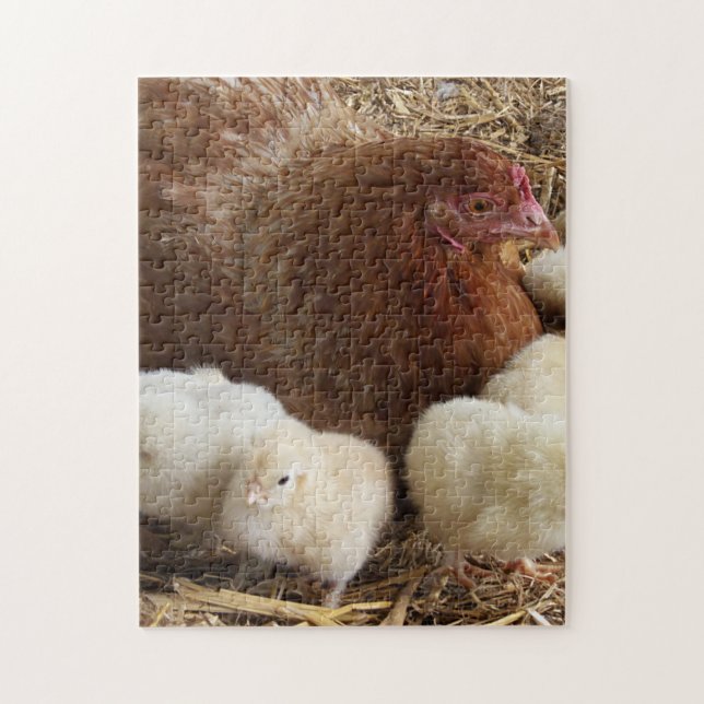 Puzzle animal, poulet, ferme, mignonette, oiseau, bébé, (Vertical)