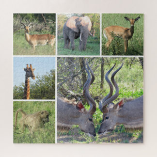 Puzzle animaux africains