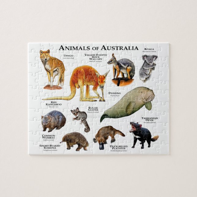Puzzle Animaux d'Australie (Horizontal)