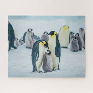 Puzzle Animaux de bébés cutest   Alimentation de pingouin