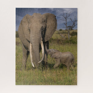 Puzzle Animaux de bébés cutest   Amama Elephant Avec Bébé