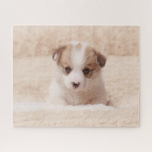 Puzzle Animaux de bébés cutest Baby Corgi