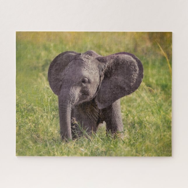 Puzzle Animaux de bébés cutest | Baby Elephant Kenya Afri (Horizontal)