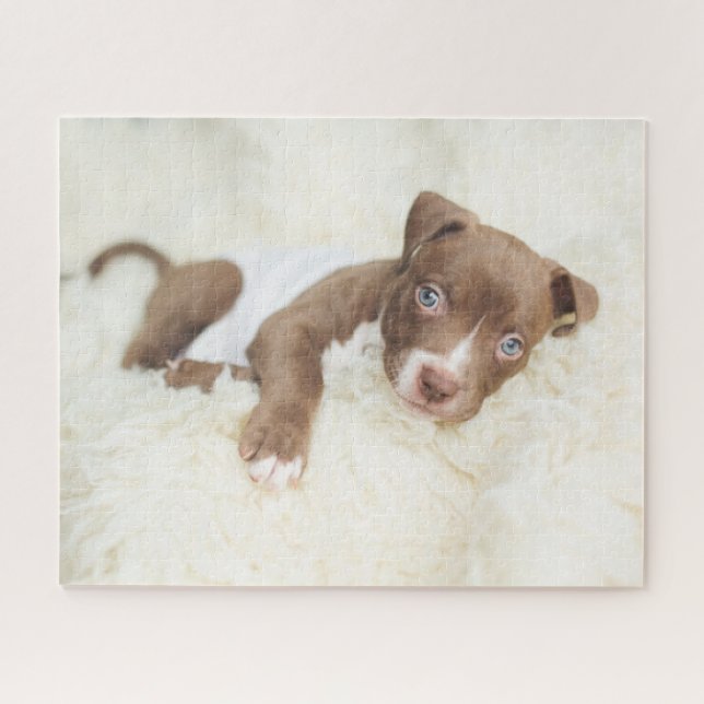 Puzzle Animaux de bébés cutest | Baby Pit Bull Puppy (Horizontal)