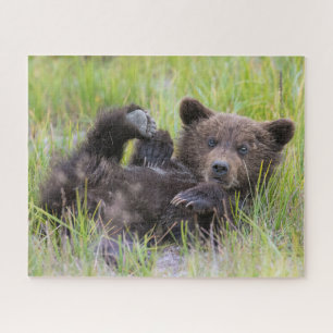 Puzzle Animaux de bébés cutest   Bébé Ours Brown