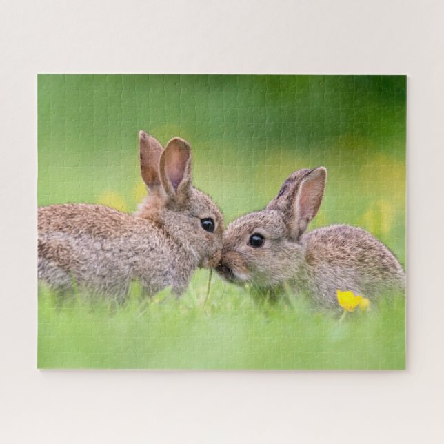 Puzzle Animaux de bébés cutest | Bunny Kiss (Horizontal)