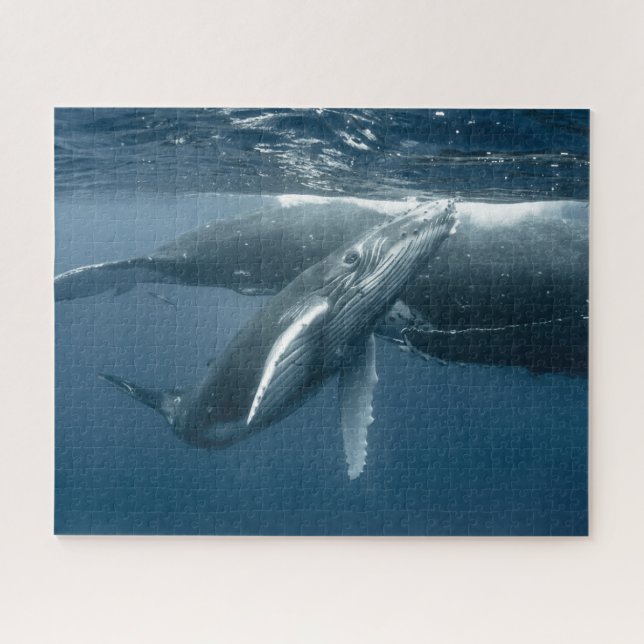 Puzzle Animaux de bébés cutest | Calf de baleine à bosse (Horizontal)