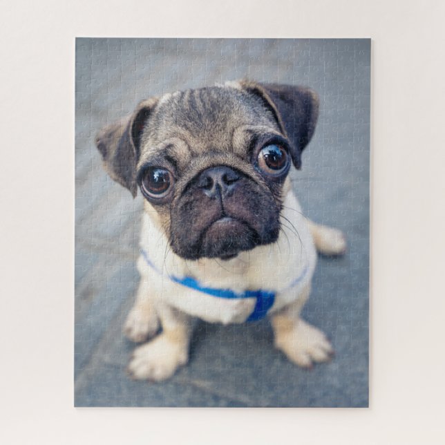 Puzzle Animaux de bébés cutest | Carlin bébé (Vertical)