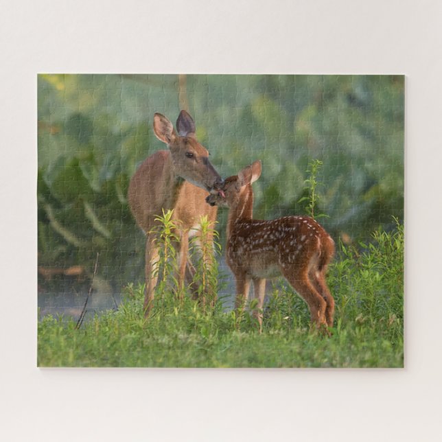 Puzzle Animaux de bébés cutest | Cerf et bébé (Horizontal)
