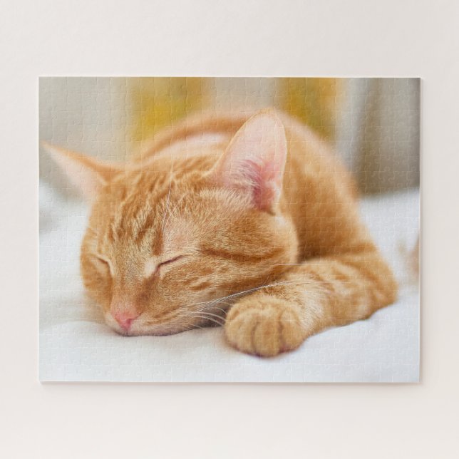 Puzzle Animaux de bébés cutest | Chat de gingembre dorman (Horizontal)