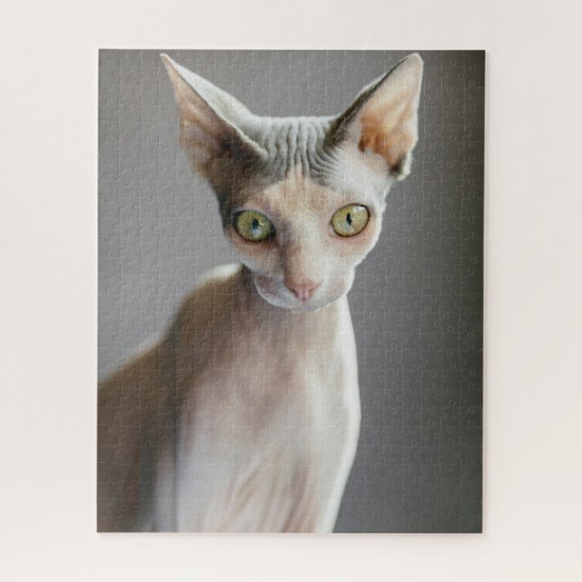Puzzle Animaux de bébés cutest | Chat Sphinx (Vertical)