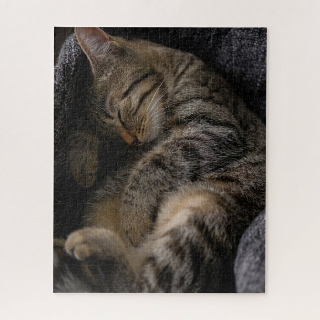 Puzzle Animaux de bébés cutest | Chat Tabby Dormant (Vertical)