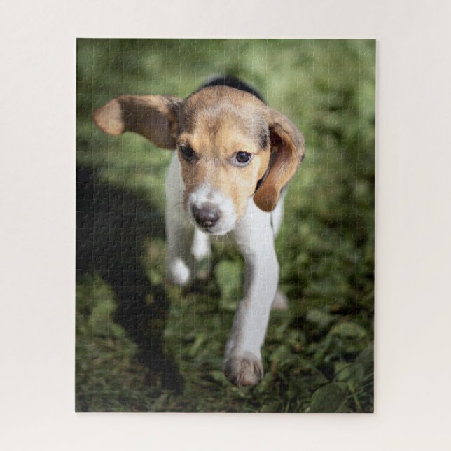Puzzle Animaux de bébés cutest | Chiot Beagle (Vertical)