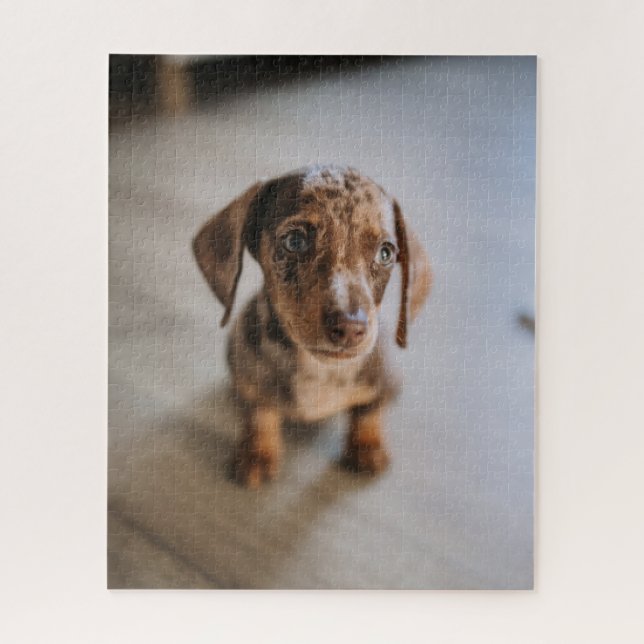 Puzzle Animaux de bébés cutest | Chiot Brown (Vertical)