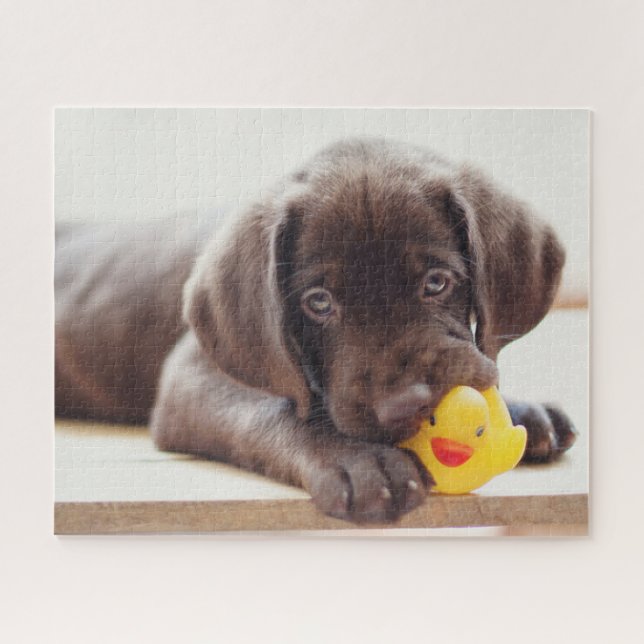 Puzzle Animaux de bébés cutest | Chocolat Labrador Puppy (Horizontal)