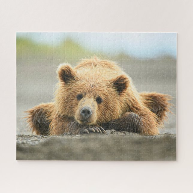 Puzzle Animaux de bébés cutest | Cub d'ours Brown côtier (Horizontal)