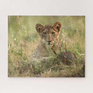 Puzzle Animaux de bébés cutest   Cute Baby Lion Cub