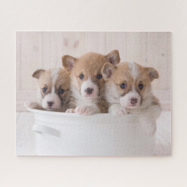 Puzzle Animaux de bébés cutest | Cute Corgi Chipies dans  (Horizontal)
