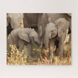 Puzzle Animaux de bébés cutest   Deux jeunes éléphants