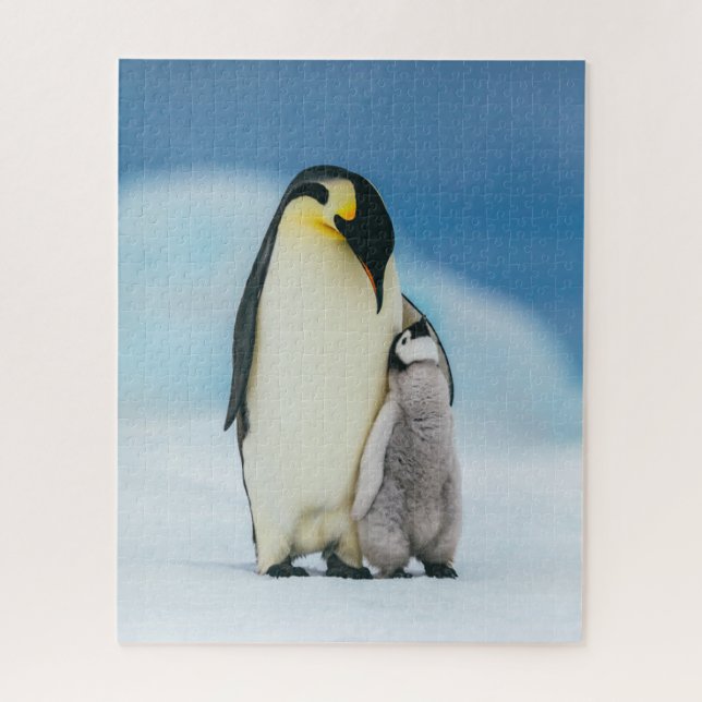 Puzzle Animaux de bébés cutest | Empereur Penguin Chick (Vertical)