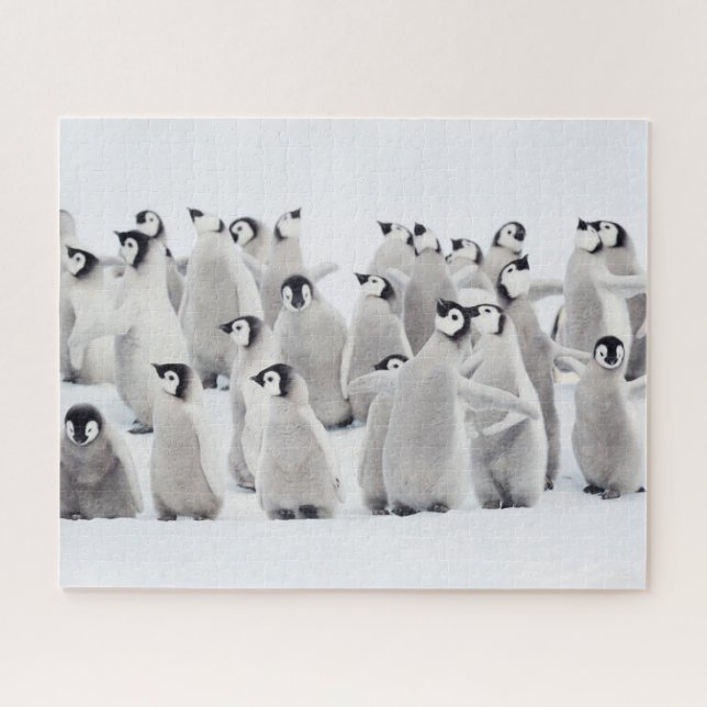 Puzzle Animaux de bébés cutest | Empereur Penguin Chicks (Horizontal)