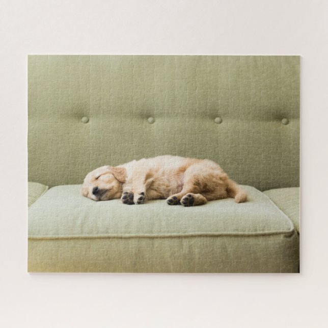 Puzzle Animaux de bébés cutest | Golden Retriever Puppy 2 (Horizontal)
