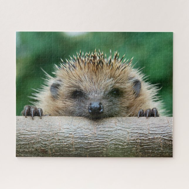 Puzzle Animaux de bébés cutest | Hedgehog Smile (Horizontal)