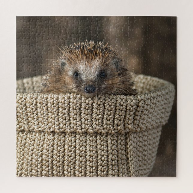Puzzle Animaux de bébés cutest | Hérisson dans un panier (Vertical)